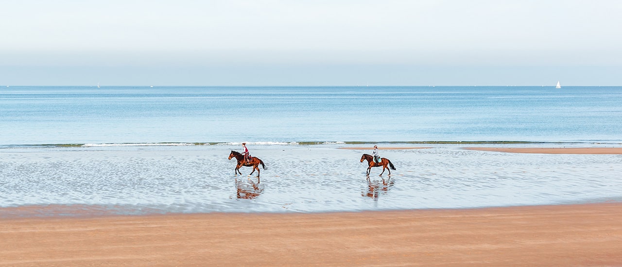 two people riding horseback on the beach in st. lucie county