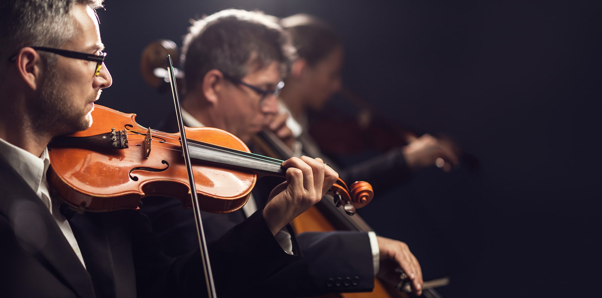 orchestra - man playing violin