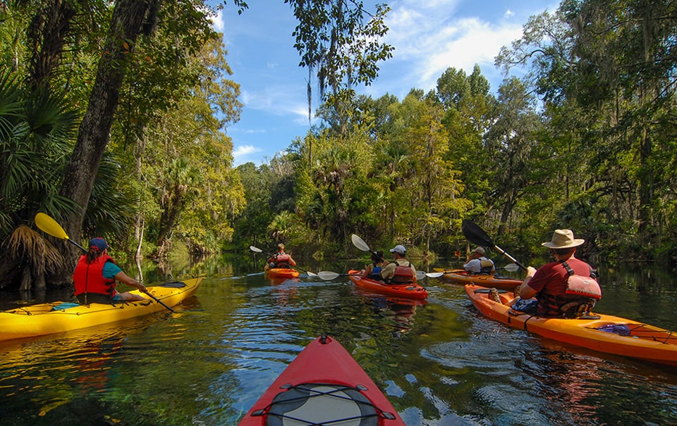 group of people kayaking down a river