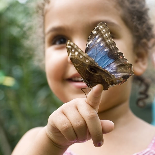 Little girl with a butterfly at the Oxbow Eco-Center