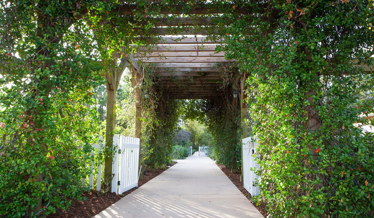 Treasure Coast Botanical Gardens Pathway
