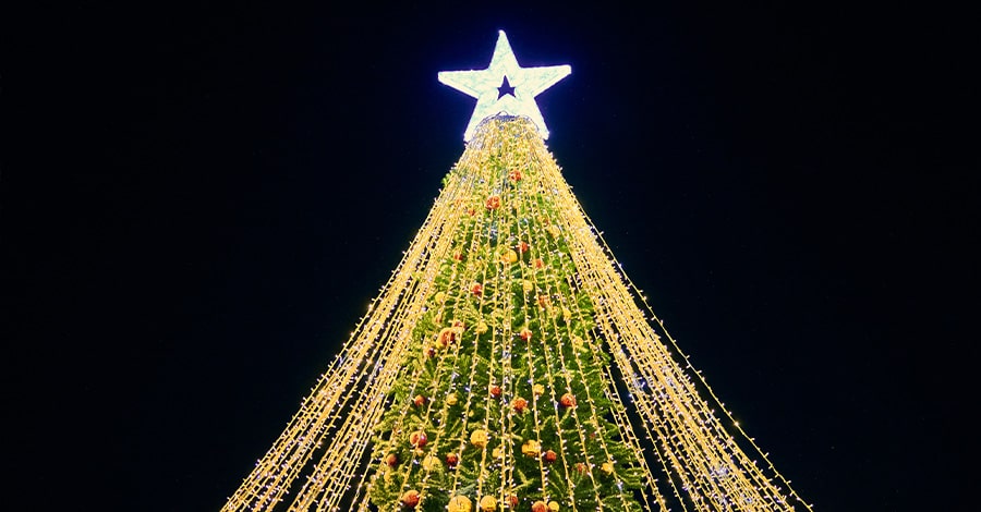 Tradition’s Tree Lighting Ceremony Port St Lucie