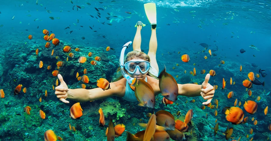 Snorkling along the waterways of the Treasure Coast