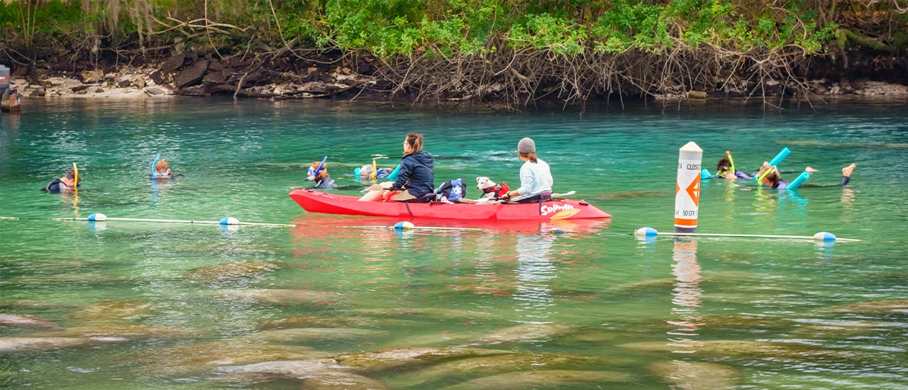 Natural Springs in Florida