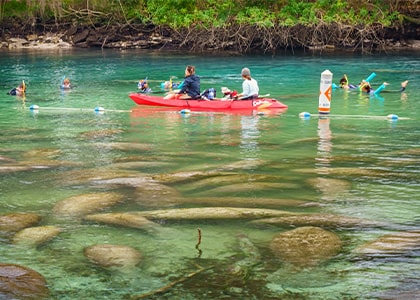 7 Wyld Summer Bucket List Items on Florida’s Treasure Coast