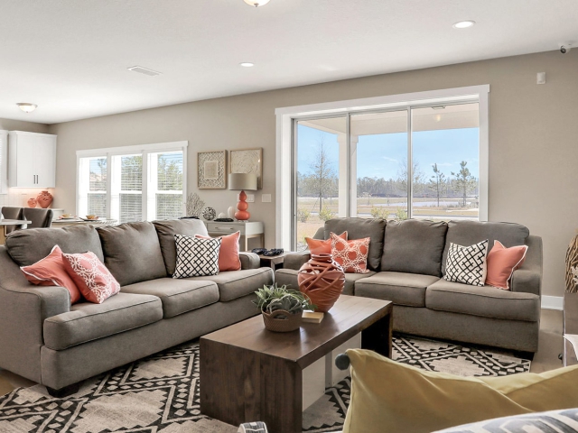 Dream Finders Living Room