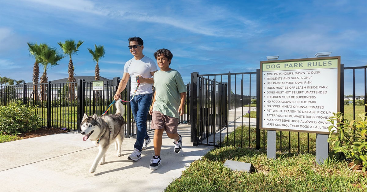 Waterfront Walking park