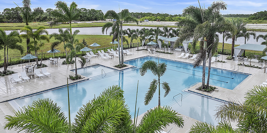 Resort-style pool with palm trees.