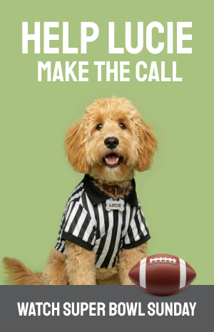 Super Bowl 2006 Banner