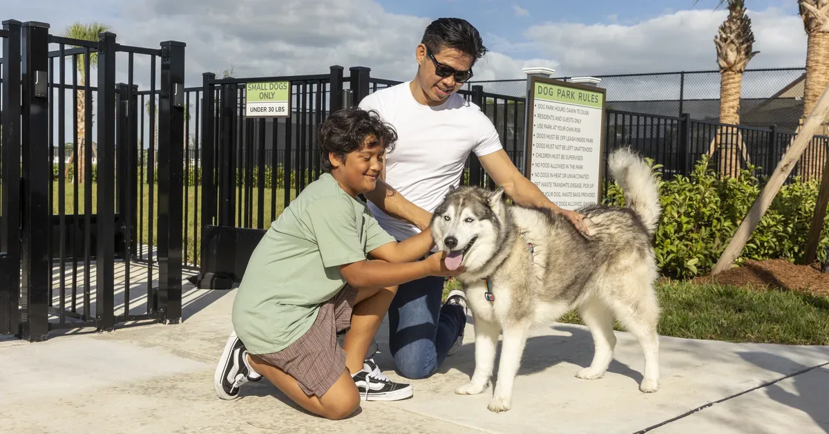 Dog Park
