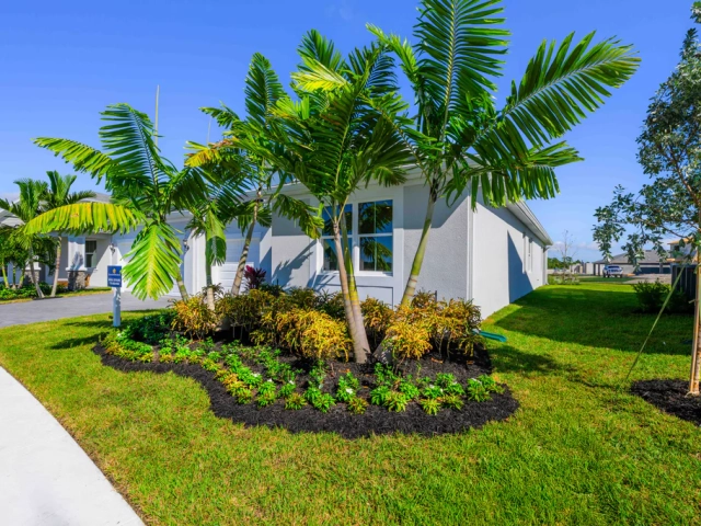 Dream Finders Homes Catalina Exterior