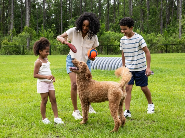 A woman and two children playing with a red frisbee and orange ball with a goldendoodle on a grassy dog park field.